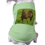 Horse Dog T-Shirt pet clothing