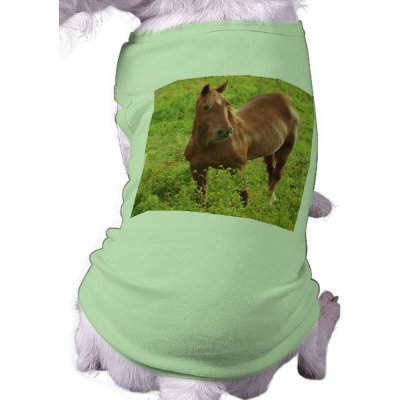 Horse Dog T-Shirt by gavila_pt