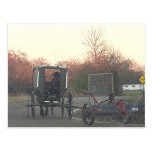 Horse Drawn Buggy postcard