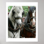 Horse Drawn posters