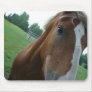 Horse eye close up Imaginative Imagery gifts Mousepad