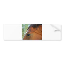 Horse Face bumper sticker