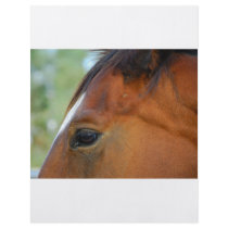Horse Face flyer