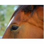 Horse Face photo sculpture