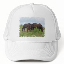 Horse Family Grazing Baseball Hat