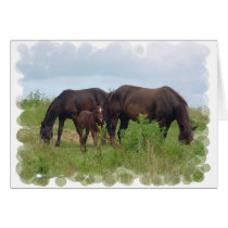 Horse Family Grazing Greeting Card