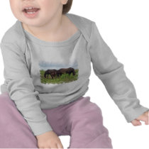 Horse Family Grazing Infant Onesie T-shirts