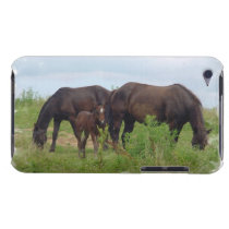 Horse Family Grazing  iTouch Case Ipod Touch Cover