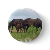 Horse Family Grazing Round Button