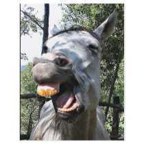 Horse Custom Flyer