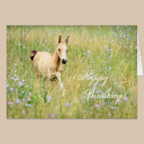 Horse Foal Birthday Card cards