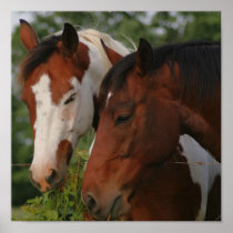 Horse Friends Canvas Print
