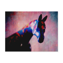horse from the sky postcard