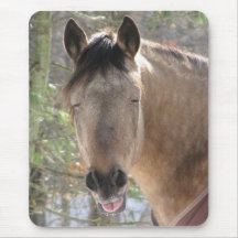 horse funny face mousepad