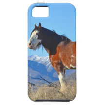 Horse Grass and Mountains