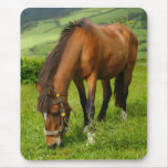 Horse grazing mouse pad