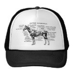 Horse Hat