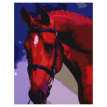 Horse Head Full Color Flyer