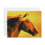 Horse Head Custom Invitations