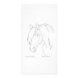 Horse Head photo cards