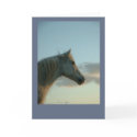 Horse Heaven Card