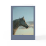 Horse Heaven Card