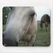 horse hello mouse pads