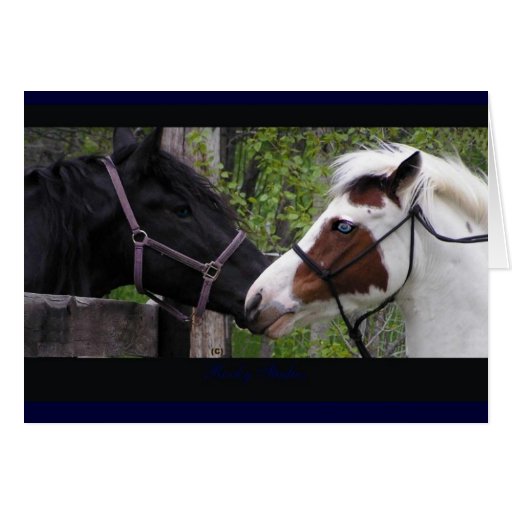 Horse Hi Notecards