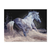Horse in Action Postcards