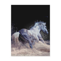 Horse in Action Postcard