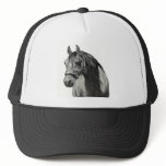 HORSE IN PENCIL: FRONT VIEW hats