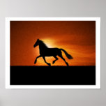 Horse In Sunset Posters