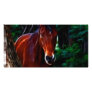 Horse in the forest personalized photo card