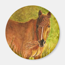 horse in the morning sunlight fridge magnets