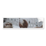 Horse in the snow bumper stickers