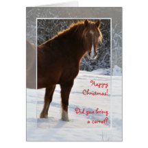 Horse in the snow Xmas card