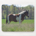 Horse in the Wildflowers mousepads