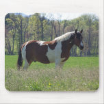 Horse in the Wildflowers mousepads