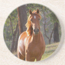 Horse In The Woods Beverage Coaster