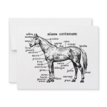 Horse Personalized Announcements