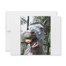 Horse Custom Invite