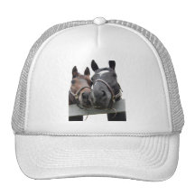 Horse Love Horses Mesh Hat