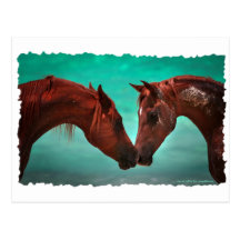 Horse Love Post Card