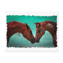 Horse Love