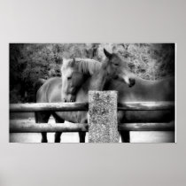 Horse Love! Two Horses Hugging Print