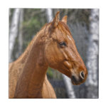Horse-lover's Equine Animal Design Ceramic Tiles