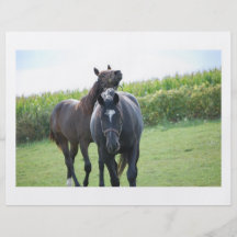 Horse Lovers Full Color Flyer