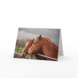 Horse Lovers Greeting Cards