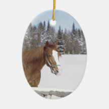 Horse Lovers Holiday Decorations Ornaments