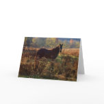Horse Lovers Notecard